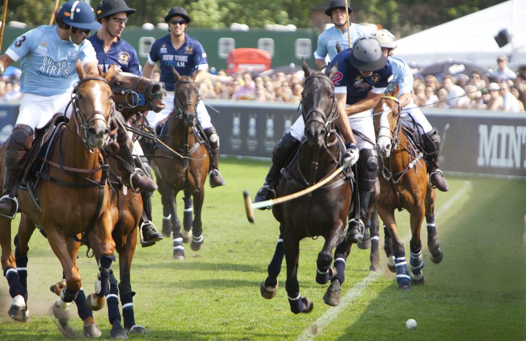 Polo in the Park